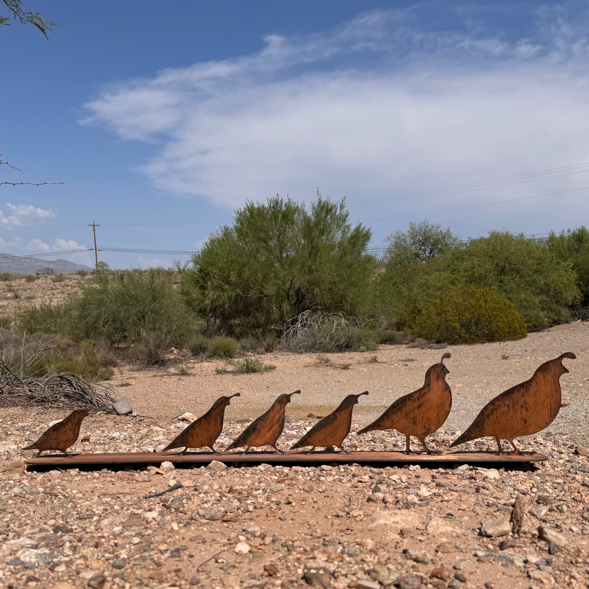 Rusted metal quail close up picture.