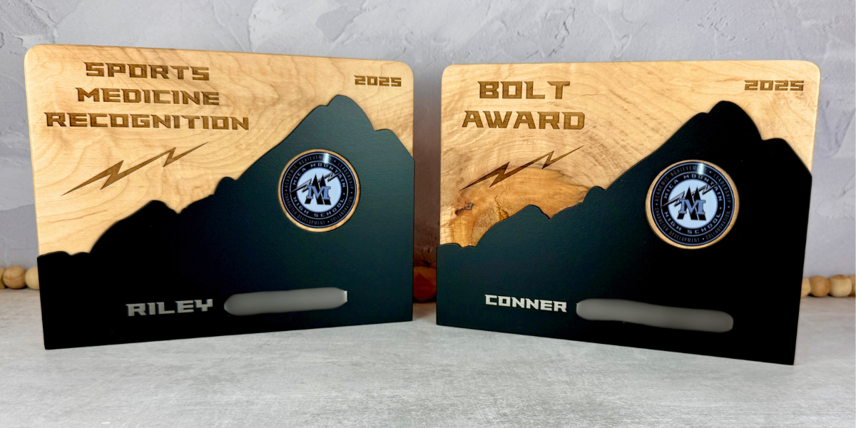 2 hardwood plaques with metal mountain shaped accents. 