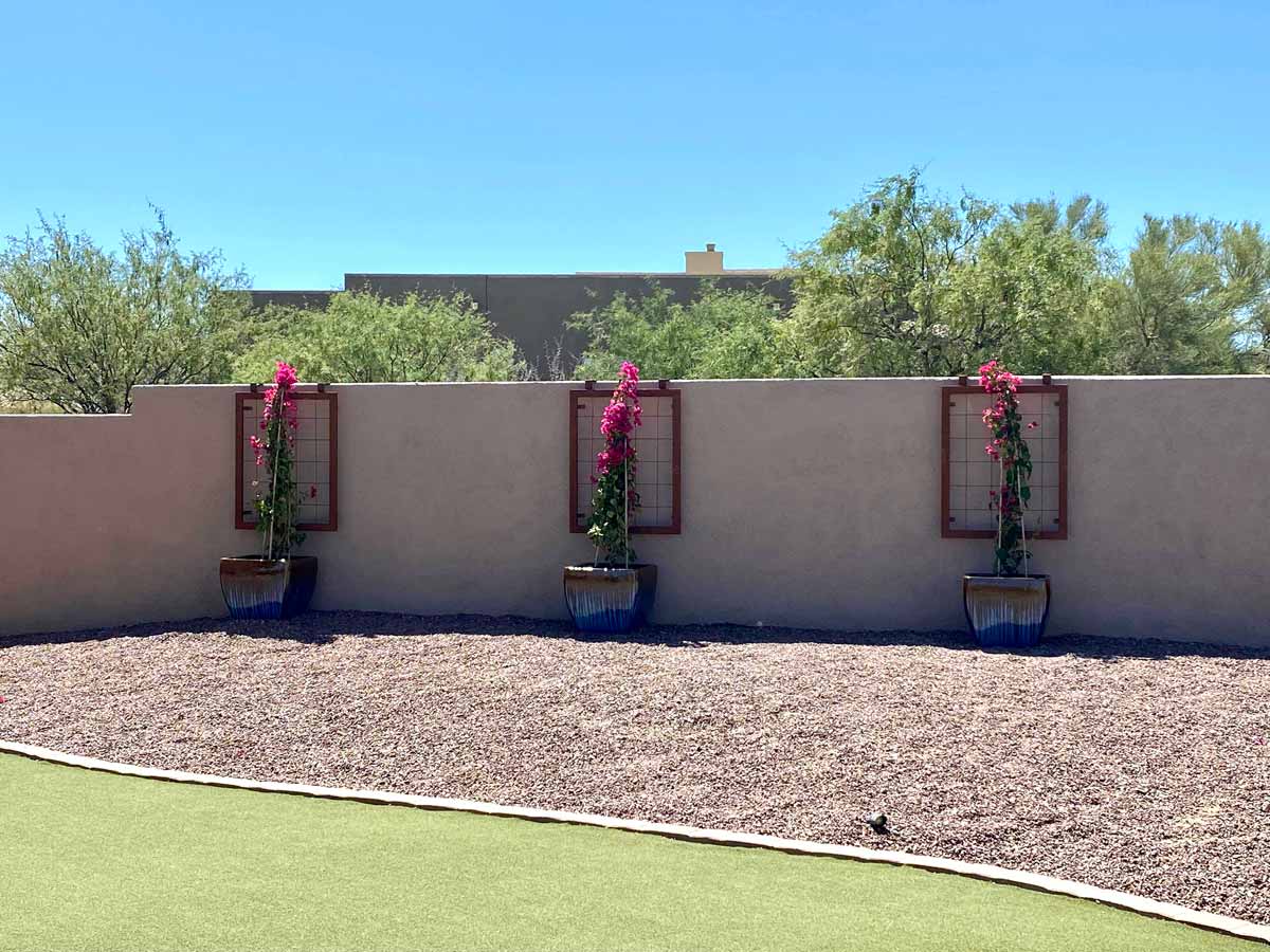 Custom Trellis