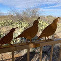 These metal quail are a gorgeous metal yard art option. Can be displayed as fence sitters or with stakes for ground display.