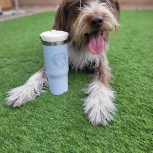 Cute dog next to a Stanley tumbler engraved with his face.