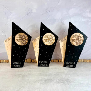 Three custom wood and black metal awards lined up on a gray background.